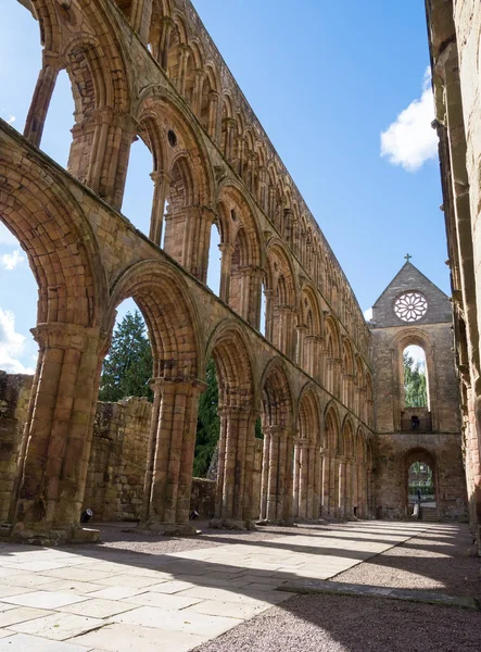 Jedburgh abbey, Skottland — Stockfoto