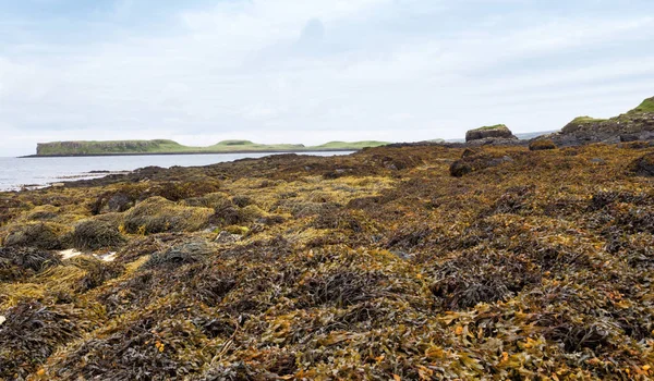 Coral Beach en la Isla de Skye, Escocia —  Fotos de Stock