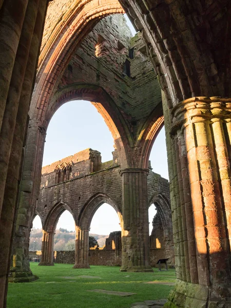 Abtei von Schottland — Stockfoto