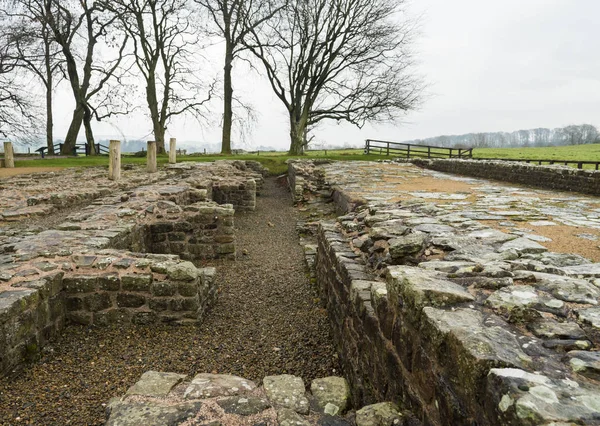 Hadrians Wall at Birdoswald, England — Stock Photo, Image