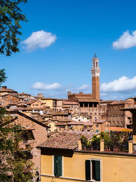 Siena üzerinde göster