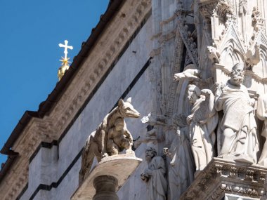 Siena Capitoline kurt heykeli