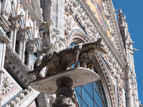 Statue des kapitolinischen Wolfs vor der Kathedrale von Siena — Stockfoto