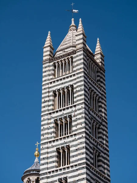 Svart och vit randig bell tower av Sienas katedral — Stockfoto