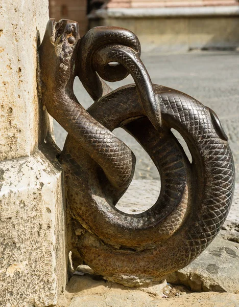 Adorno de la calle serpiente de bronce — Foto de Stock