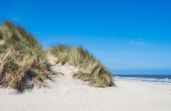 アーメラント島、オランダの砂丘上の表示します。 — ストック写真