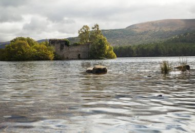 Rothiemurchus orman Cairngorms İskoçya'da harabe