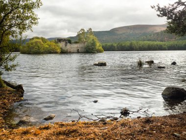 Rothiemurchus orman Cairngorms İskoçya'da harabe