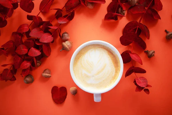 Beker van cappuccino met rode eucalyptus op koraal kleur achtergrond . — Stockfoto