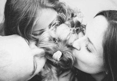 Mutlu bir aile güneşli bahar gününde şehirde bir köpekle yürüyor. Aileyle tatil.