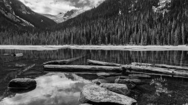 Siyah beyaz göl ve orman manzarası