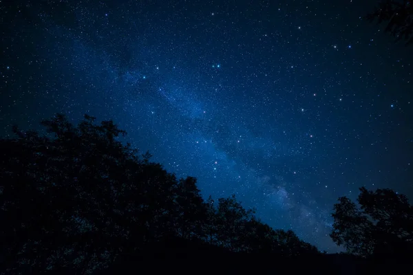 Photo Étonnamment Paisible Voie Lactée Dessus Des Arbres Silhouettés — Photo