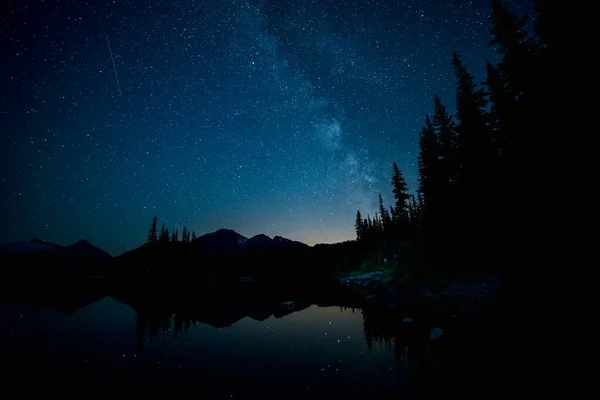Forêt Lac Sous Voie Lactée — Photo