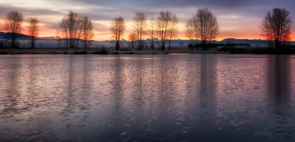 Dramatische Zonsondergang Van Bomen Een Kabbelende Rivier — Stockfoto