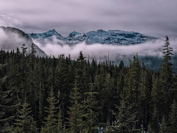 Árvores Nuvens Topo Montanha Distância — Fotografia de Stock