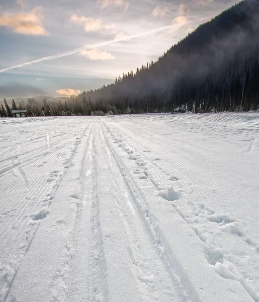 Лыжные Трассы Пересеченной Местности — стоковое фото