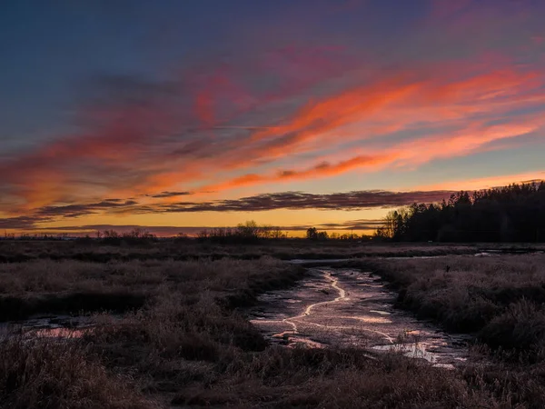 Lit Rivière Avec Coucher Soleil Orange Dans Marais — Photo