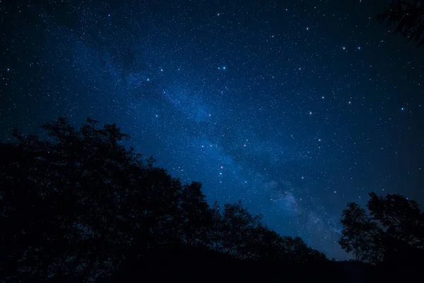 Sorprendentemente Pacífica Foto Vía Láctea Sobre Árboles Siluetas Imagen de stock