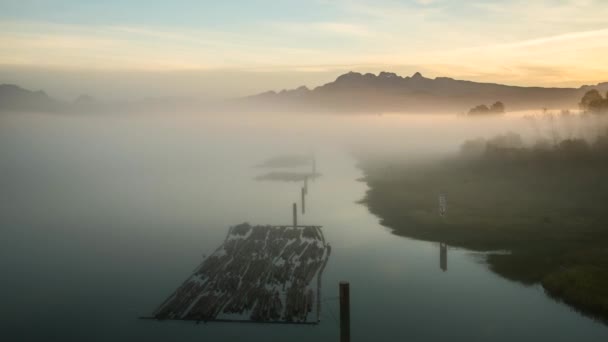 Rolling Nebbia Sul Fiume Con Tronchi Montagne Time Lapse — Video Stock