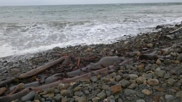 Skalnatá Pláž Pánví Vpravo Podél Skalnaté Pláže Ukazující Pomalé Vlny — Stock video