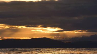 Güzel sarı bulutlar, güneş ışınlarıyla okyanusun üzerinde kuşlar uçuşuyor.