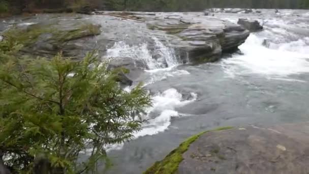 Evergreen Tree Pan Reveals Beautiful Waterfall — Stock Video