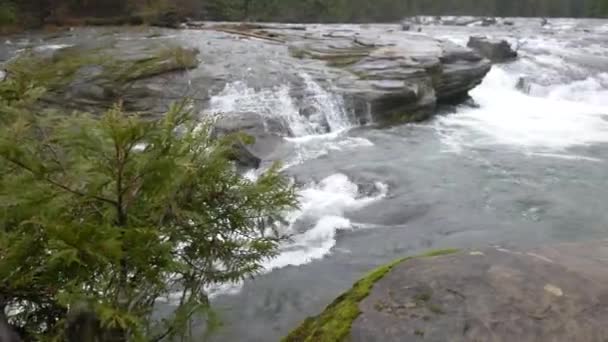 Evergreen Träd Där Pan Avslöjar Vackra Vattenfall — Stockvideo