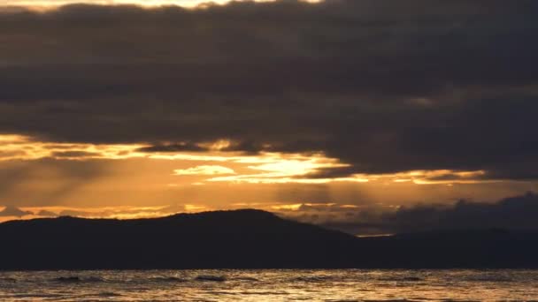 Hermosas Nubes Amarillas Con Rayos Sol Sobre Océano Con Aves — Vídeos de Stock