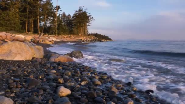 在加拿大不列颠哥伦比亚省温哥华岛上 海浪冲撞岩石海岸 — 图库视频影像