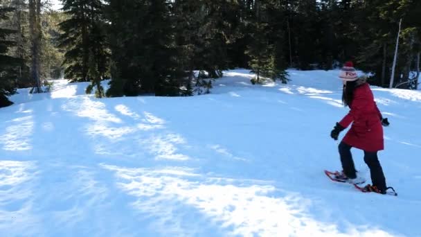 Mãe Puxando Filha Criança Trenó Através Moldura Enquanto Snowshoeing — Vídeo de Stock
