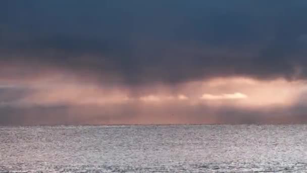 Nubes Lluvia Oscura Distancia Con Ondulaciones Oceánicas Aves Volando Través — Vídeos de Stock