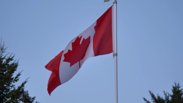 Lanzamiento Mediano Cámara Lenta Bandera Canadiense Agitándose Lentamente Viento Contra — Vídeos de Stock