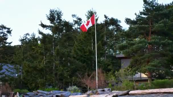 Medium Shot Flag Pole Canadian Flag Light Wind Trees Background — Stock Video