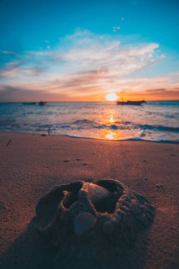 Deniz kabuğuyla gün batımı