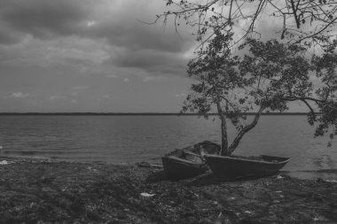 ağacın altında tekne