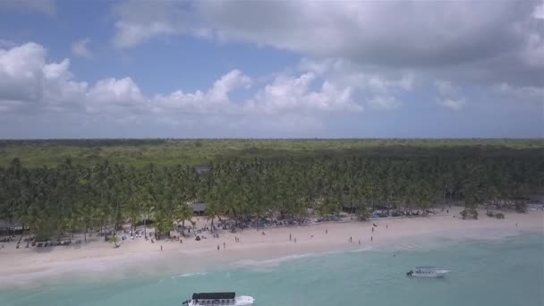 Caribeño playa drone palmas de agua azul — Vídeos de Stock