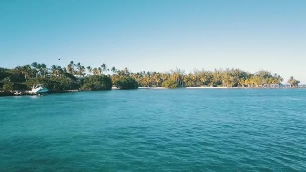 Caribe playa azul agua drone — Vídeo de stock