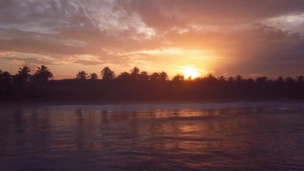 Zachód słońca na plaży z dłońmi 60fps — Wideo stockowe