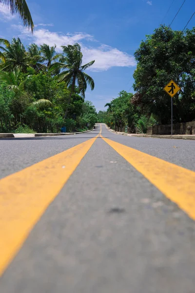 Ormandaki sokak çizgisi