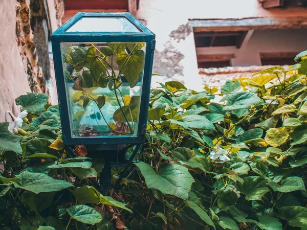 terk edilmiş bir yer