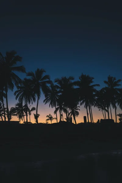 Palmen Sonnenuntergang Strand — Stockfoto