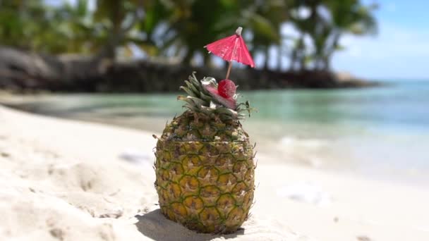 Ananas na plaży karaibskiej — Wideo stockowe