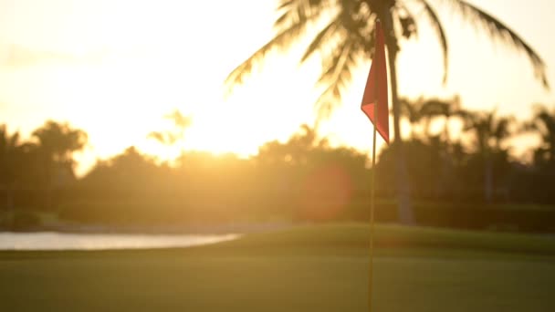 Atardecer golf — Vídeo de stock