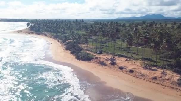 Praia com palmas e montanhas 4k — Vídeo de Stock