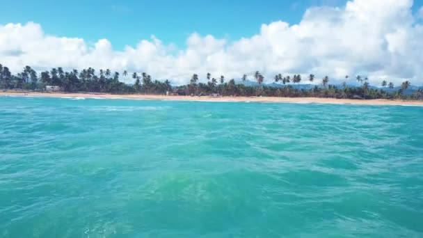 4K 'lık palmiyeleri ve mavi suyu olan Karayip plaj cenneti. — Stok video