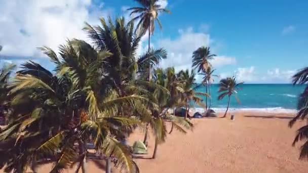 在加勒比海边的海滨野营和棕榈树在60英尺的时间里看起来就像个天堂 — 图库视频影像