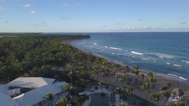 Spiaggia in caraibico con natura in 60 fps — Video Stock