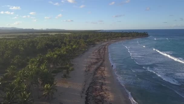 Пляж в Карибском море с природой в замедленной съемке — стоковое видео