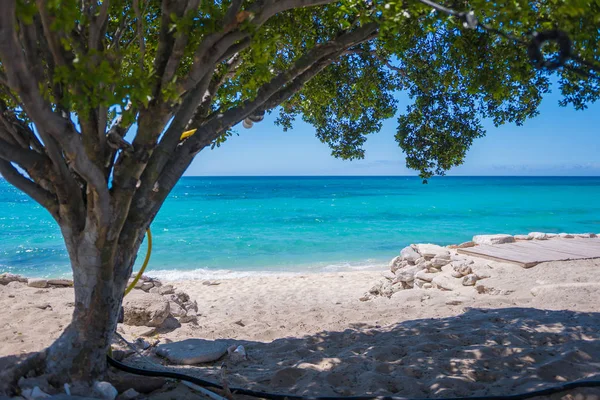 Beach in the caribbean Royalty Free Stock Images