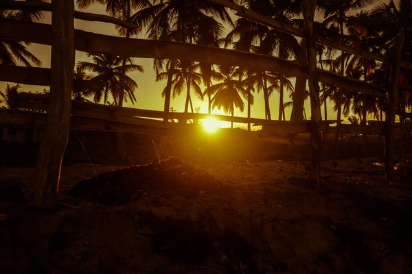 Matahari Terbenam Pantai Dengan Palmstree Dan Pasir — Stok Foto